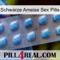 Black Ant Sex Pill viagra3